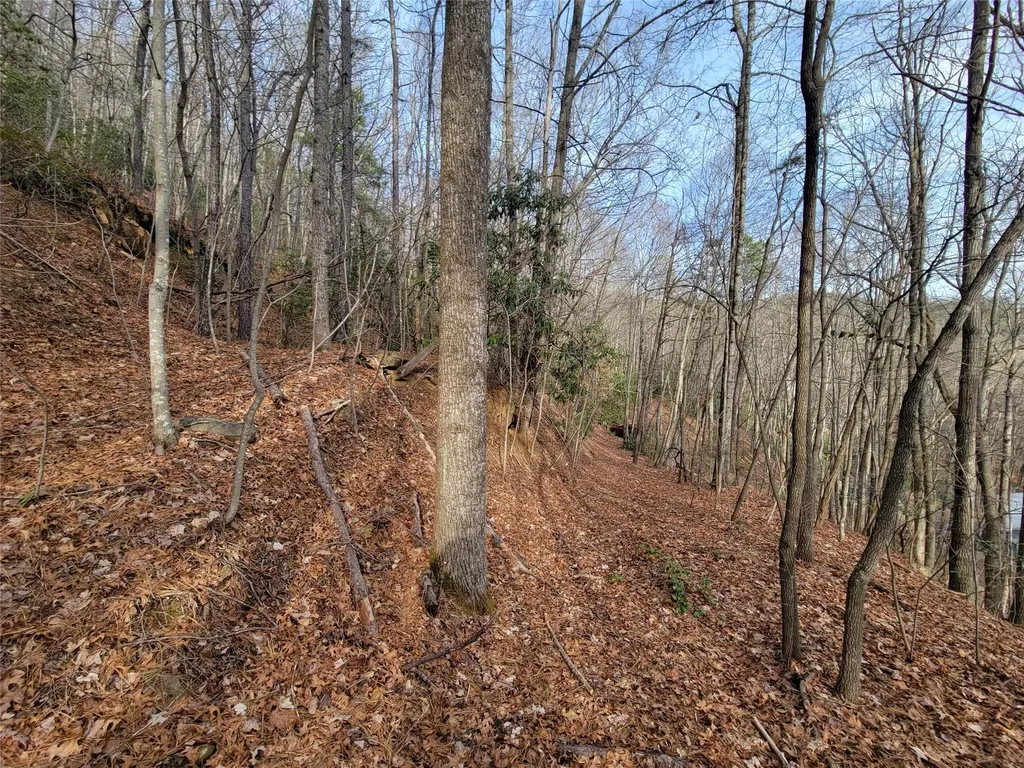 0000 Lookout Terrace Road Black Mountain NC 28711