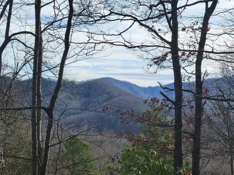 0000 Lookout Terrace Road Black Mountain NC 28711