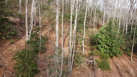 0000 Lookout Terrace Road Black Mountain NC 28711