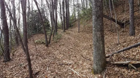 0000 Lookout Terrace Road Black Mountain NC 28711