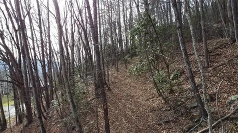 0000 Lookout Terrace Road Black Mountain NC 28711