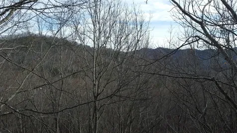 0000 Lookout Terrace Road Black Mountain NC 28711
