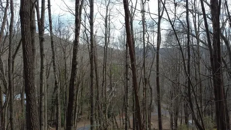 0000 Lookout Terrace Road Black Mountain NC 28711