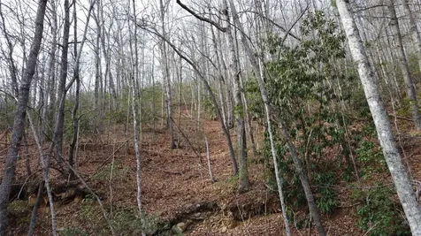 0000 Lookout Terrace Road Black Mountain NC 28711