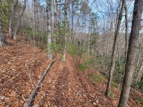 0000 Lookout Terrace Road Black Mountain NC 28711