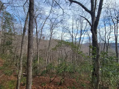 0000 Lookout Terrace Road Black Mountain NC 28711