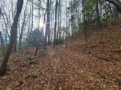0000 Lookout Terrace Road Black Mountain NC 28711