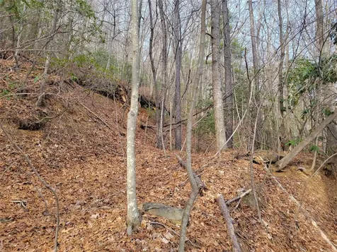 0000 Lookout Terrace Road Black Mountain NC 28711