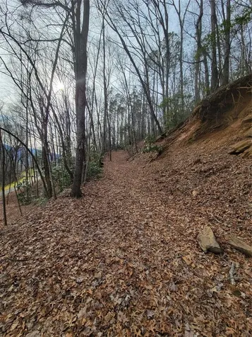 0000 Lookout Terrace Road Black Mountain NC 28711