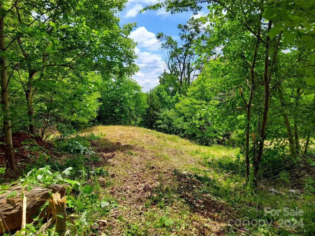 0 Bear Cliff Way Lake Lure NC 28746