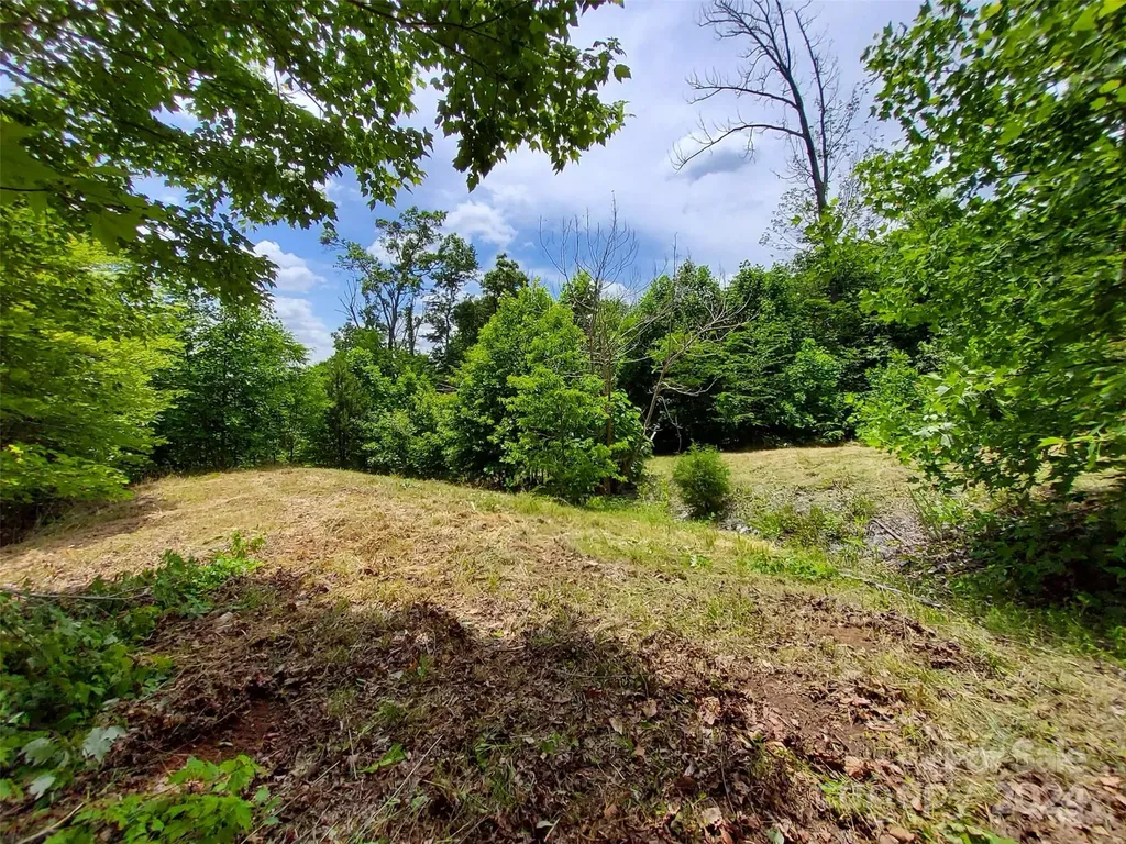 0 Bear Cliff Way Lake Lure NC 28746
