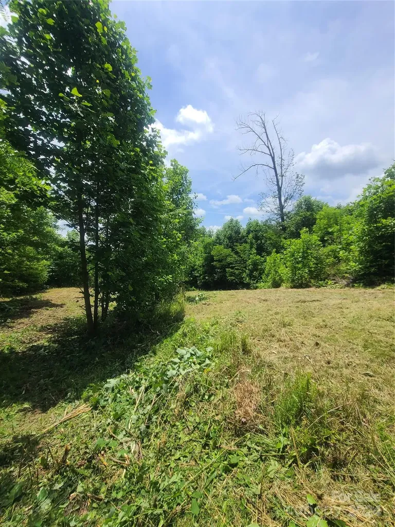0 Bear Cliff Way Lake Lure NC 28746