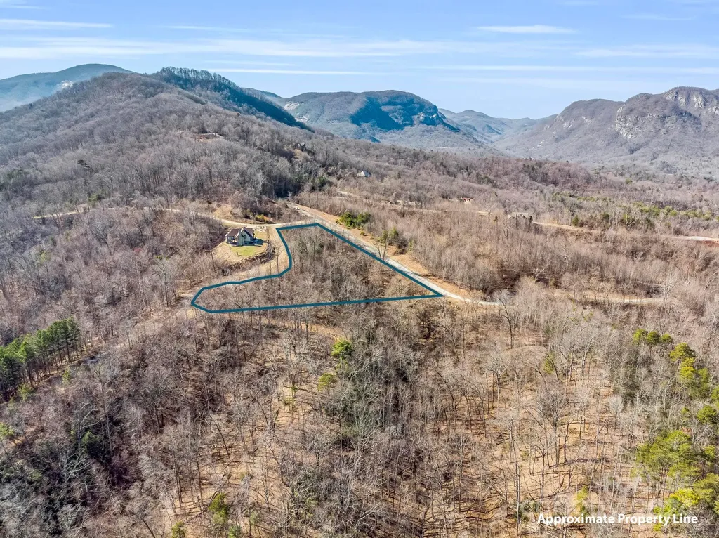 0 Bear Cliff Way Lake Lure NC 28746