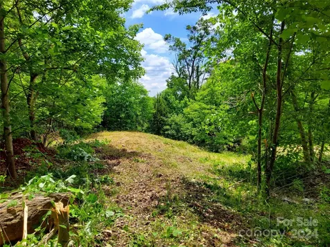 0 Bear Cliff Way Lake Lure NC 28746