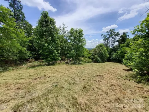 0 Bear Cliff Way Lake Lure NC 28746