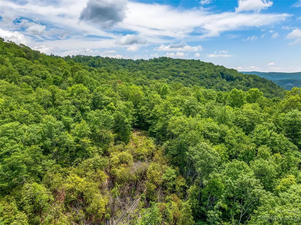999 Big Hill Road Brevard NC 28712
