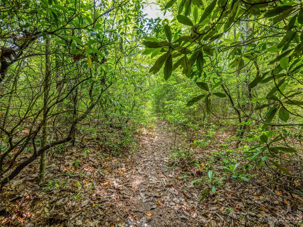 999 Big Hill Road Brevard NC 28712