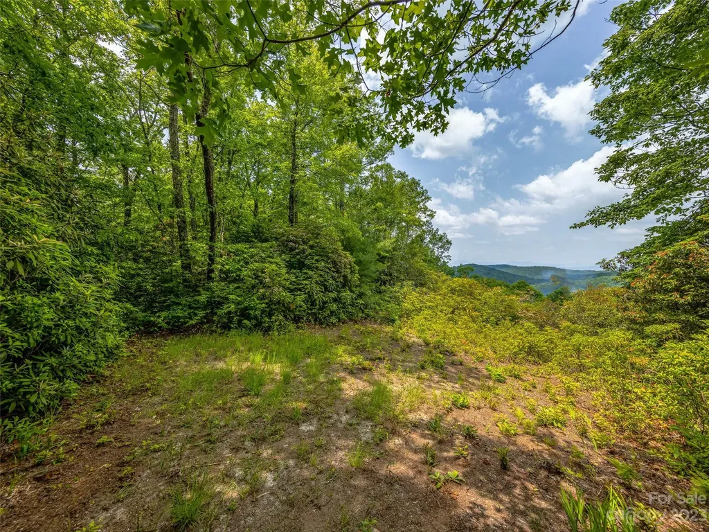 999 Big Hill Road Brevard NC 28712