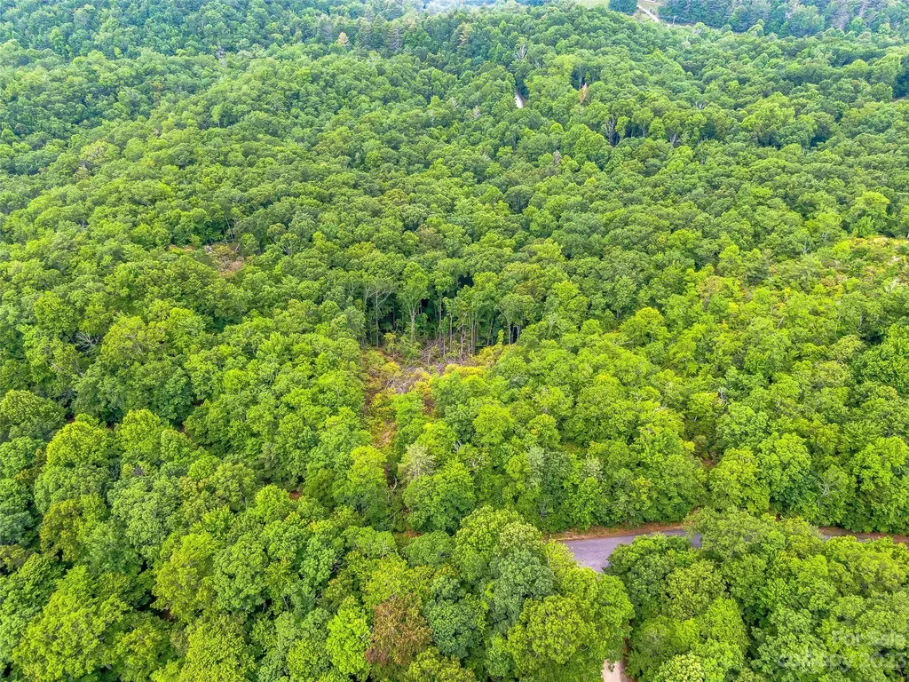 999 Big Hill Road Brevard NC 28712
