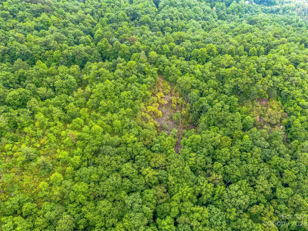 999 Big Hill Road Brevard NC 28712