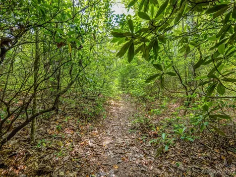 999 Big Hill Road Brevard NC 28712