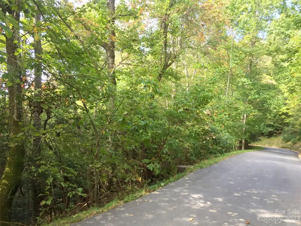 216 Bent Pine Trace Hendersonville NC 28739