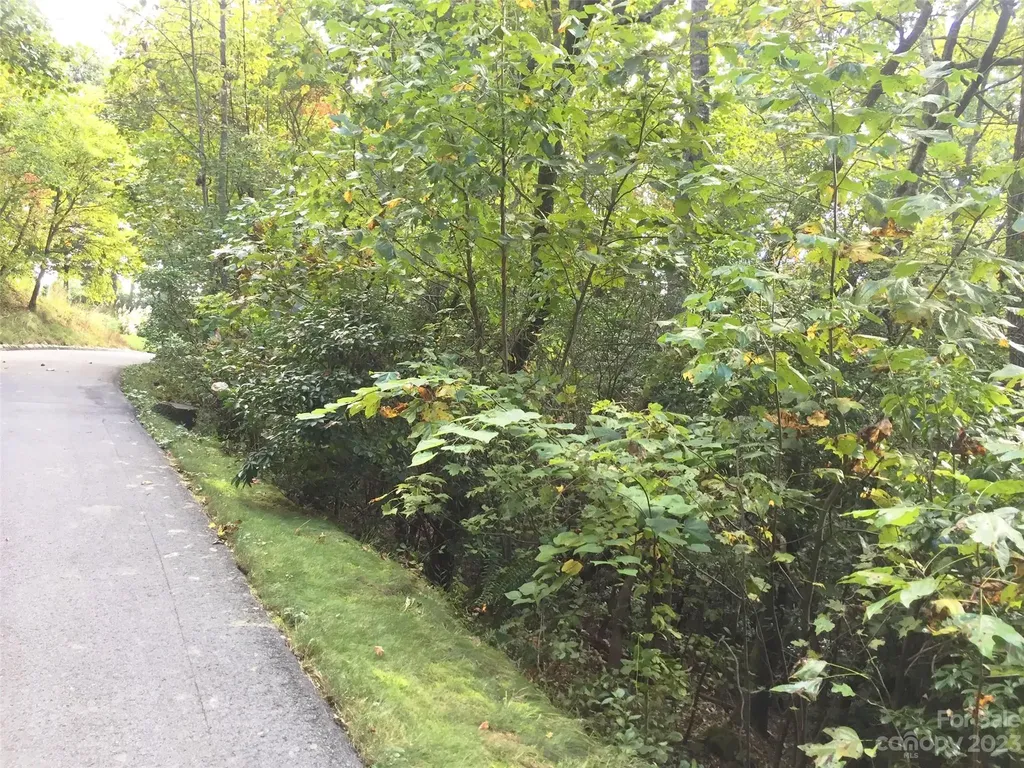 216 Bent Pine Trace Hendersonville NC 28739
