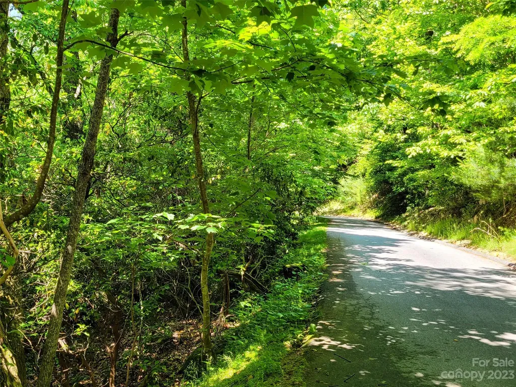 216 Bent Pine Trace Hendersonville NC 28739