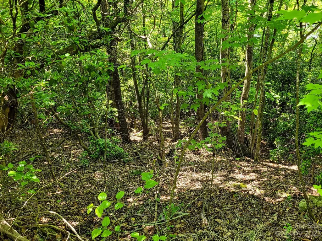 216 Bent Pine Trace Hendersonville NC 28739