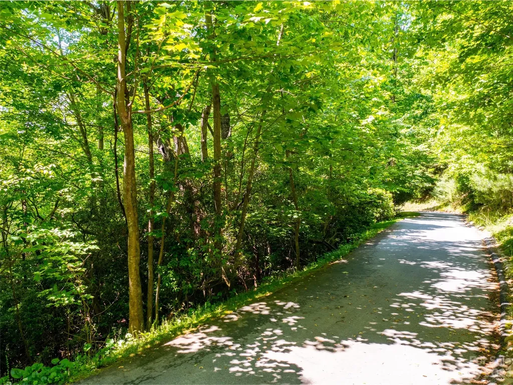 216 Bent Pine Trace Hendersonville NC 28739