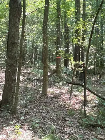 2790 Great Falls Highway Lancaster SC 29720