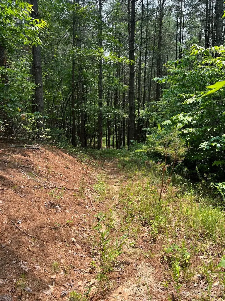 9589 Shortoff View Terrace Nebo NC 28761