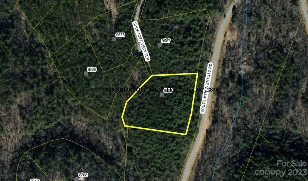 9589 Shortoff View Terrace Nebo NC 28761