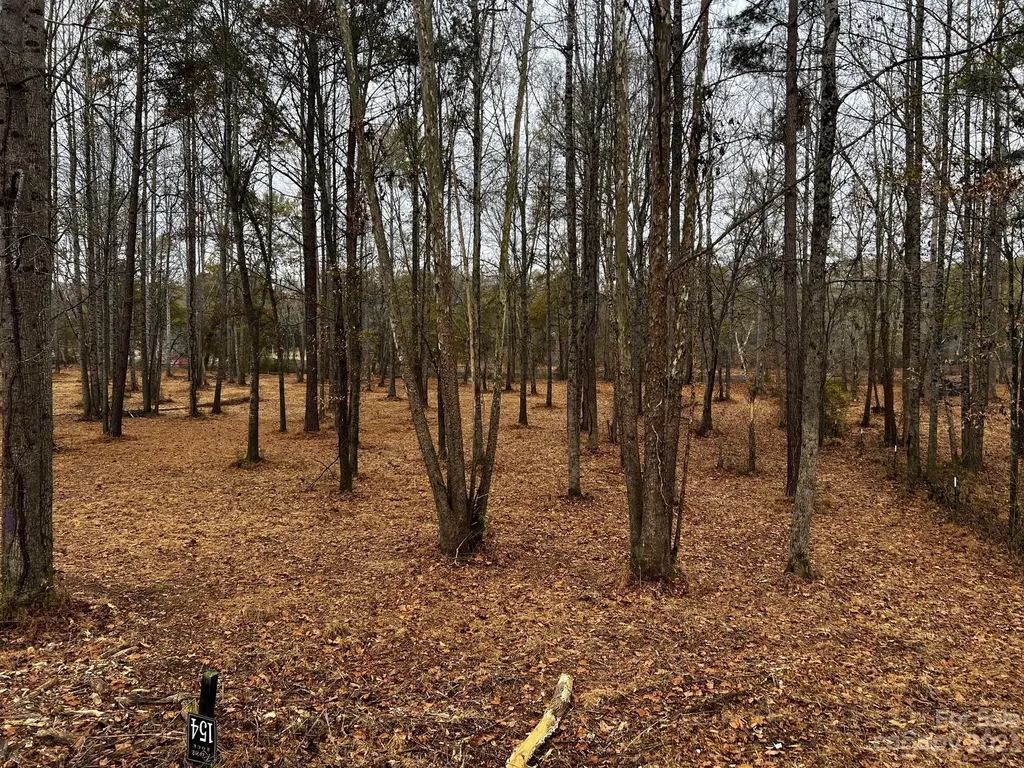 Lot 154 Lookout Dam Road Statesville NC 28625