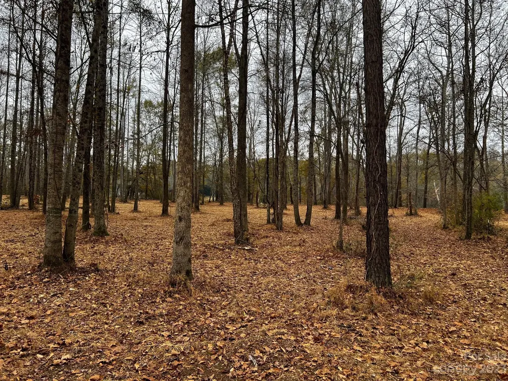 Lot 154 Lookout Dam Road Statesville NC 28625