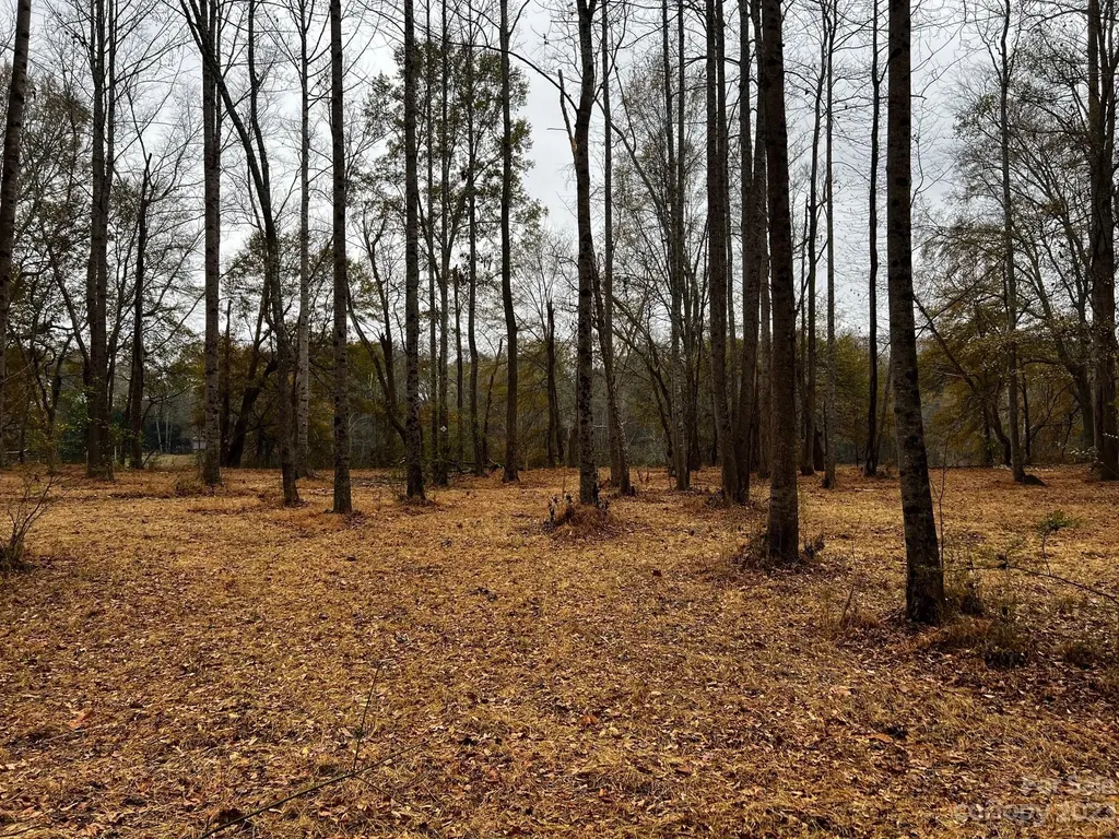 Lot 155 Lookout Dam Road Statesville NC 28625