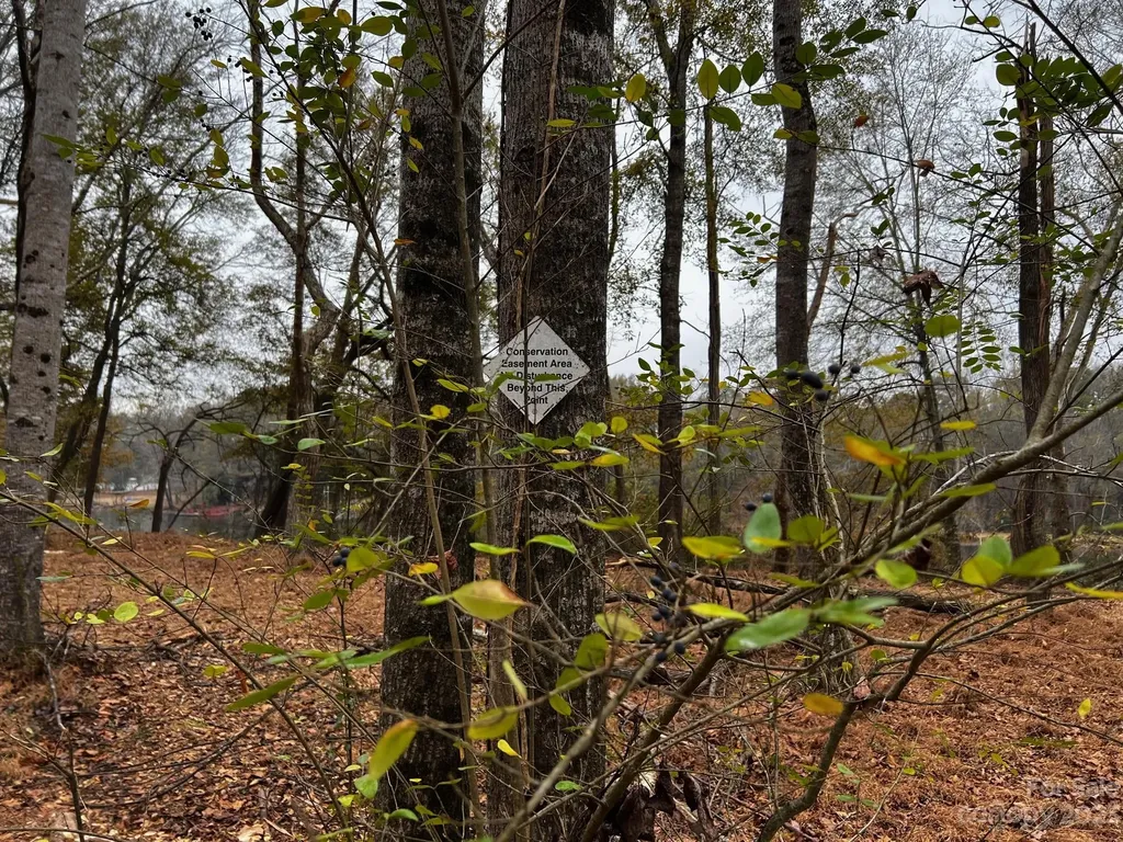 Lot 155 Lookout Dam Road Statesville NC 28625