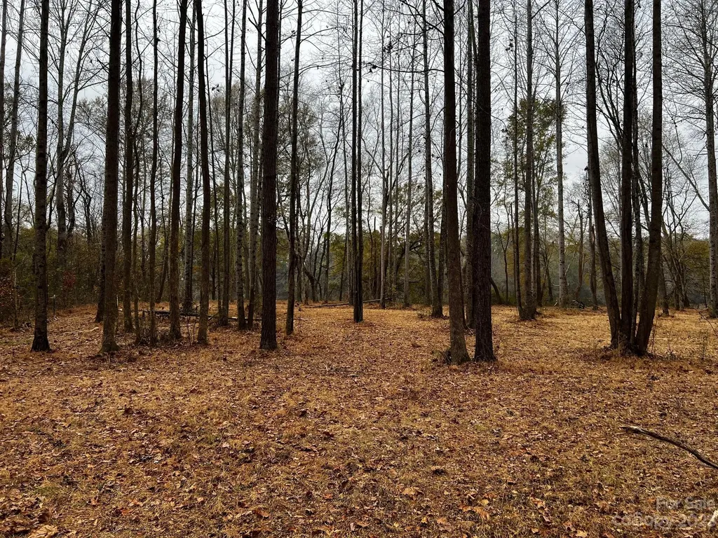 Lot 156 Lookout Dam Road Statesville NC 28625
