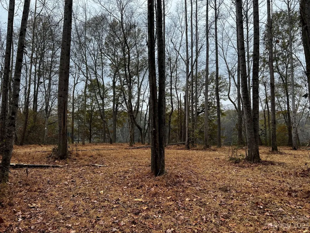 Lot 156 Lookout Dam Road Statesville NC 28625