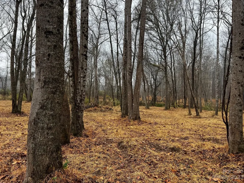 Lot 150 Lookout Dam Road Statesville NC 28625