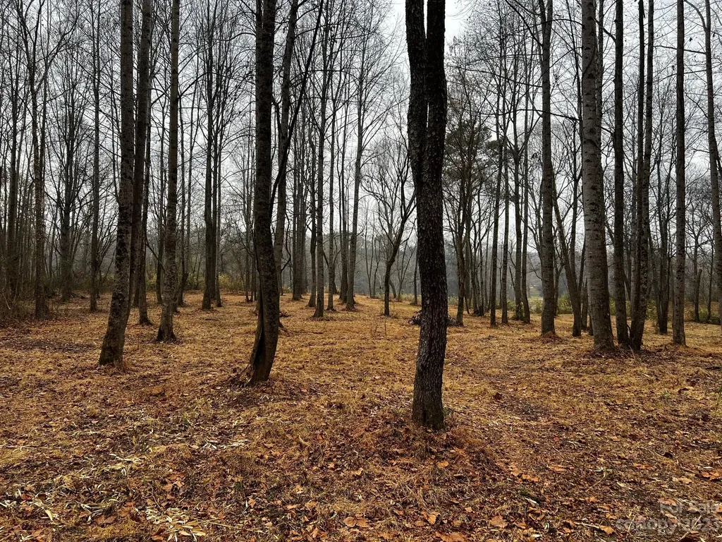 Lot 150 Lookout Dam Road Statesville NC 28625