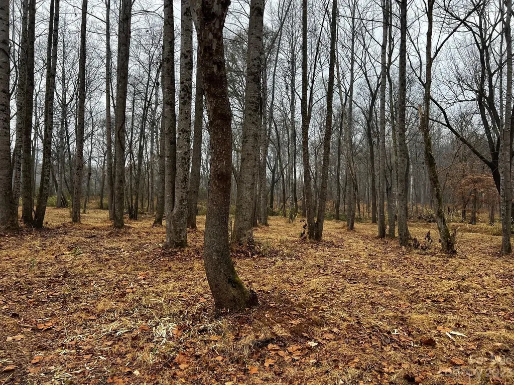 Lot 150 Lookout Dam Road Statesville NC 28625