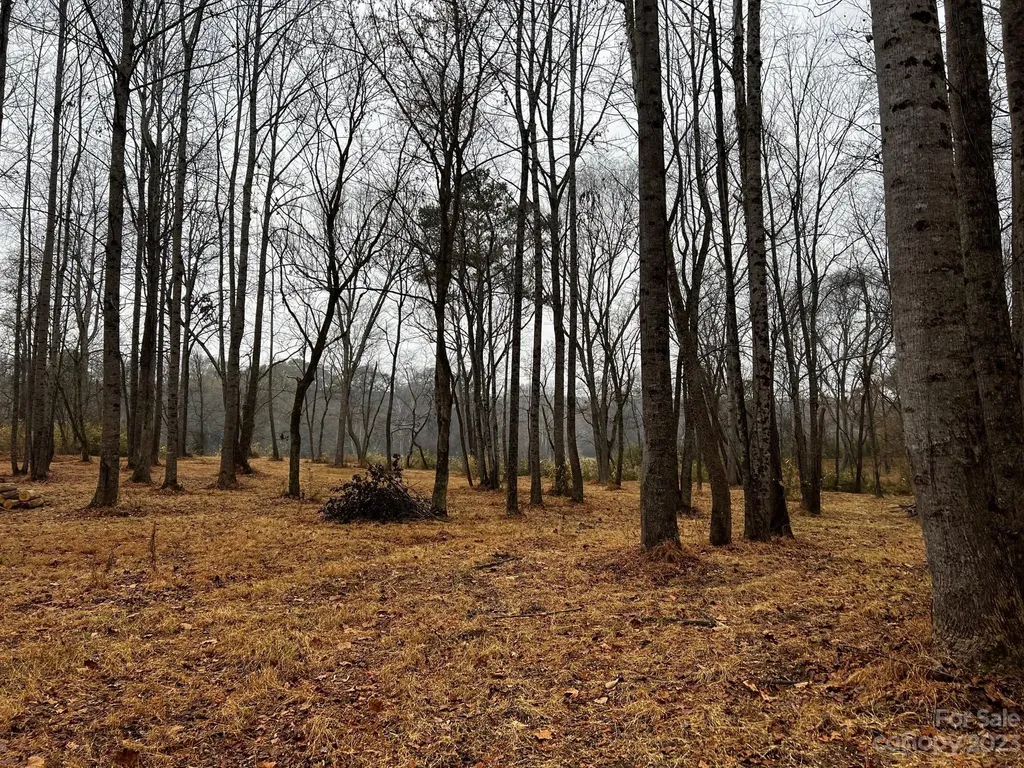 Lot 150 Lookout Dam Road Statesville NC 28625