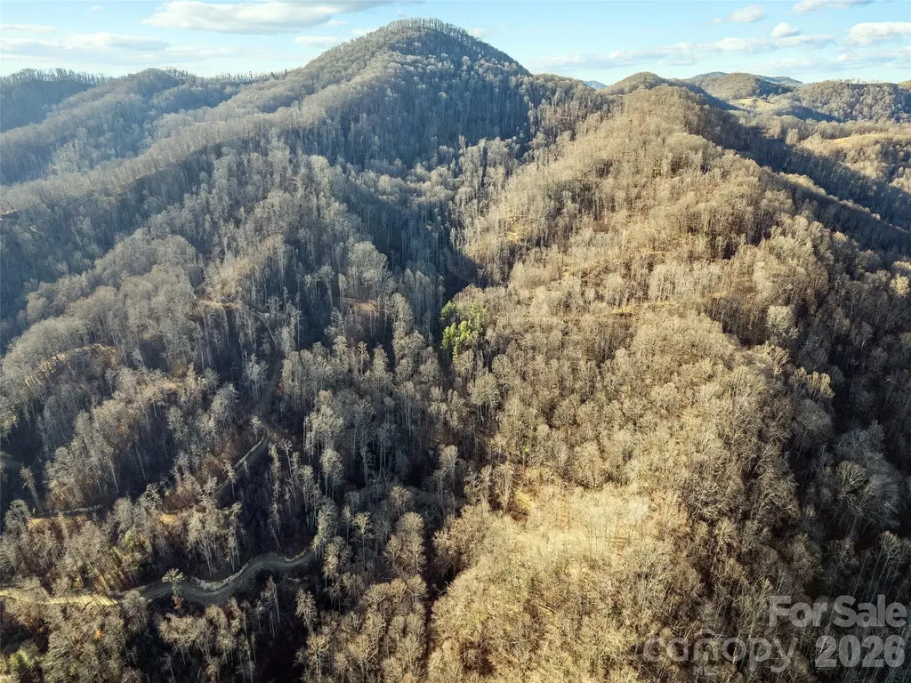 00 Nc 209 Highway Spring Creek NC 28743