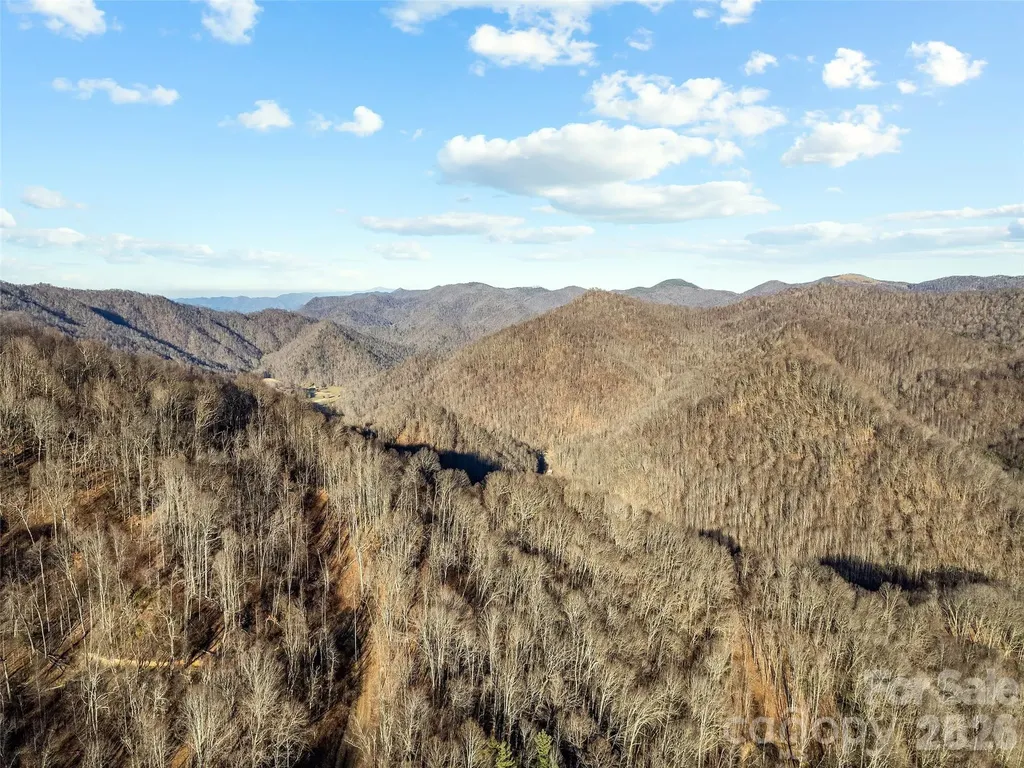 00 Nc 209 Highway Spring Creek NC 28743