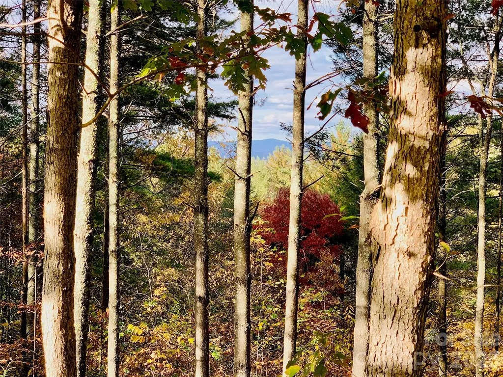 1.34 Acres, Lot 234 Waterfall Lane Lenoir NC 28645