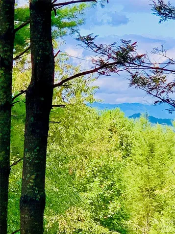 1.34 Acres, Lot 234 Waterfall Lane Lenoir NC 28645