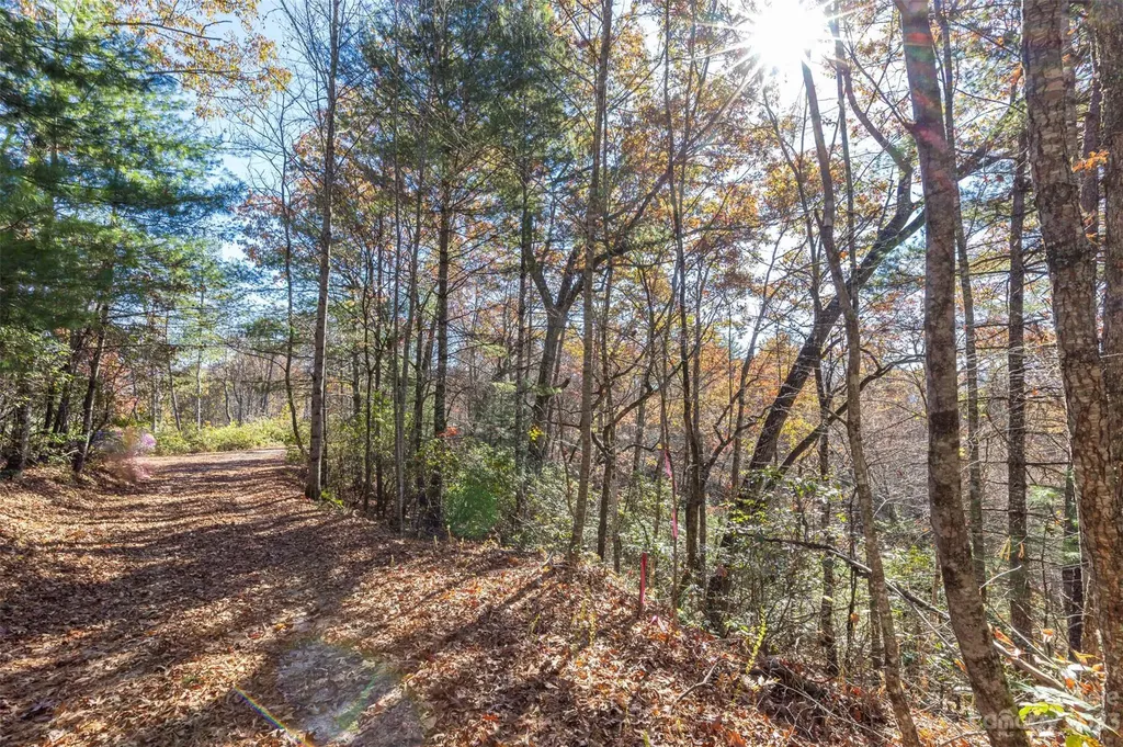 000 Needmore Road Bryson City NC 28713