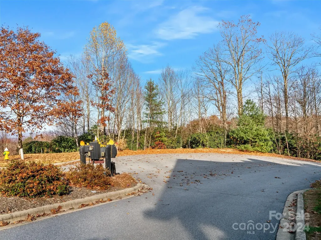 99999 Bay Laurel Lane Hendersonville NC 28791