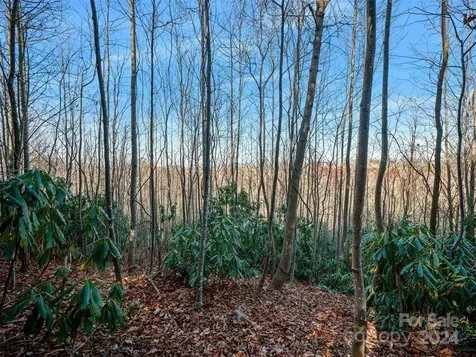 99999 Bay Laurel Lane Hendersonville NC 28791